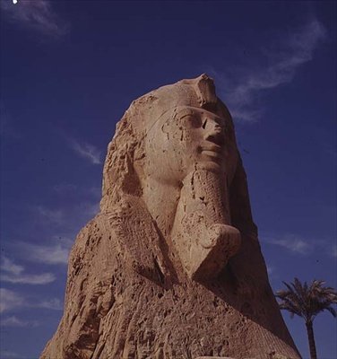 Alabastrová sfinga, Nová říše, pravděpodobně z doby vlády Amenhotepa II, asi 1450-1425 př. n. l. (viz také 59239) od Egyptian 18th Dynasty