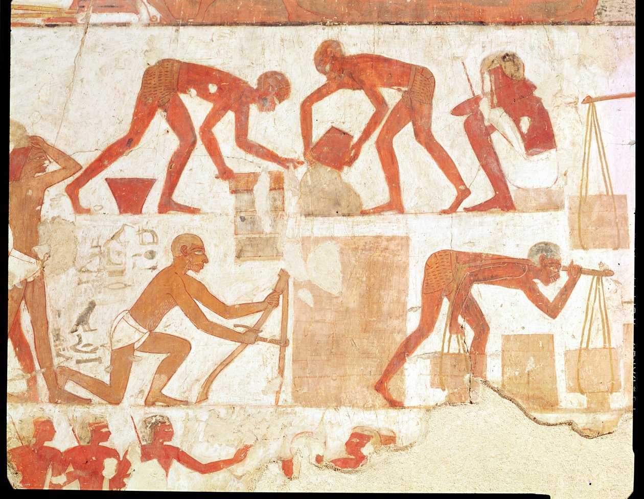Stavba zdi z hrobky Rekhmire, vezíra Tuthmosis III a Amenhotep II, Nová říše (nástěnná malba) (podrobnosti viz 202228) od Egyptian 18th Dynasty
