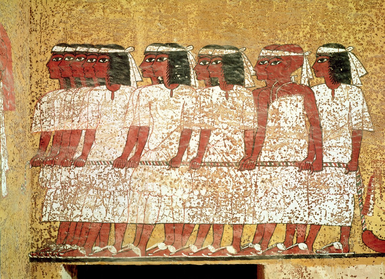 Cortege táhnoucí královský katafalk z Tutanchamonovy hrobky (asi 1370-52 př.nl) Nová říše (nástěnná malba) od Egyptian 18th Dynasty