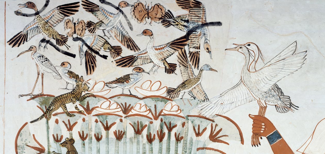 Kachny, hnízda, motýli, kočky a hlodavci, detail ze scény lovu a rybolovu v močálech, freska, severní stěna, podélná komora, Thébská hrobka TT69, Sheikh Abd el-Qurna, Théby. Egyptská civilizace, Nová říše, dynastie XVIII. od Egyptian 18th Dynasty