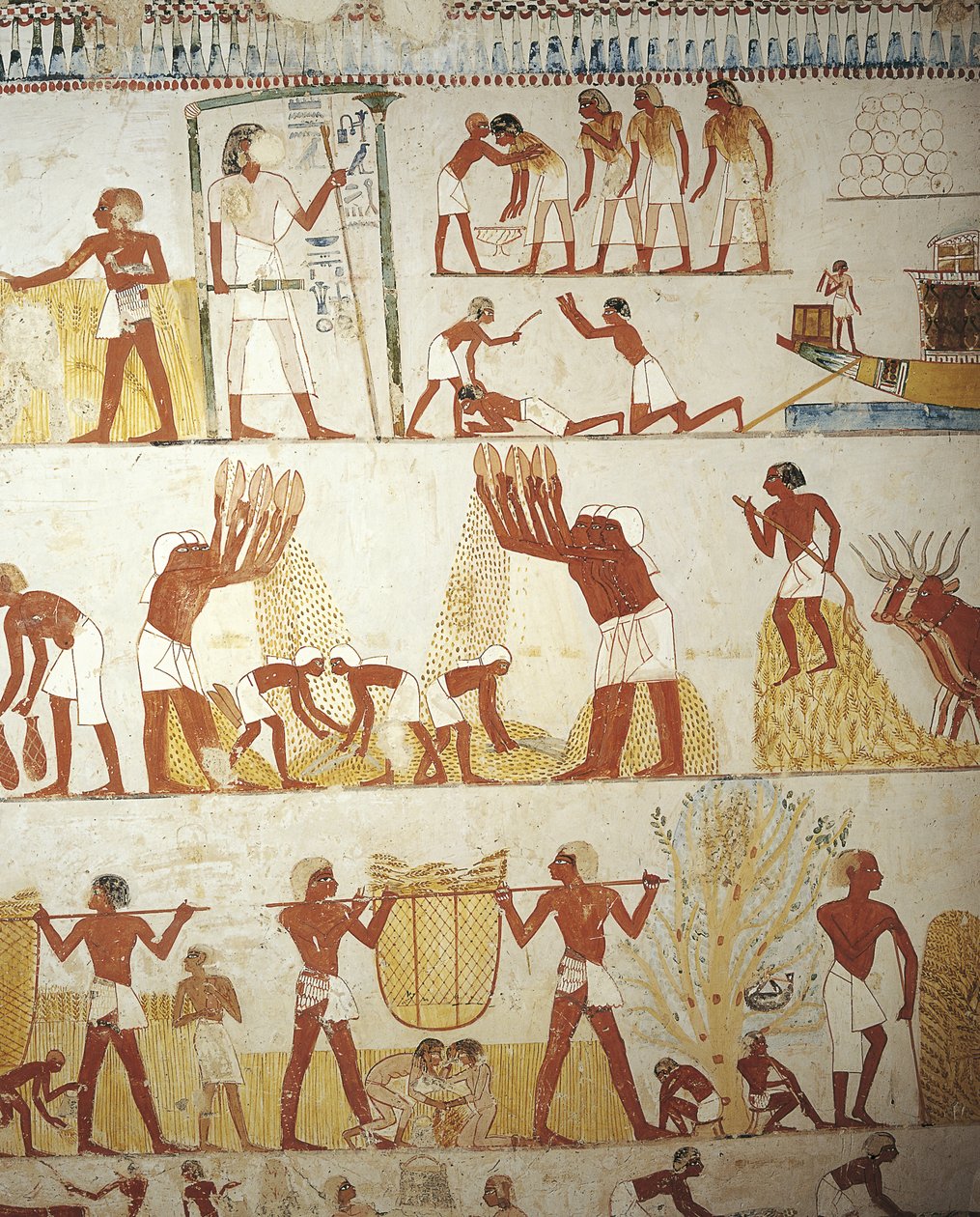 Egypt, Théby, Luxor, Šejk 