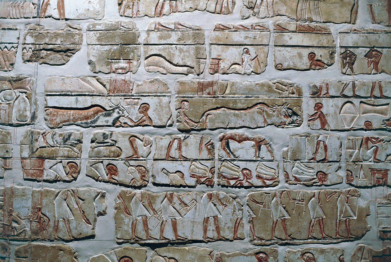 Egypt, Théby, Luzor, chrámy v Karnaku, Talatatova zeď z chrámu Amenhotepa IV. od Egyptian 18th Dynasty