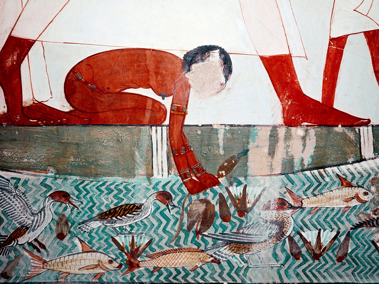 Egyptské umění: Hrobka Menny. Rybí scéna, detail. Nahá služebná trhá lotosový květ (18. dynastie) Fresku z Luxoru (místo Théb, Sheikh Abdul-Gurnah (Gurnah), levý břeh Nilu, Egypt. od Egyptian 18th Dynasty