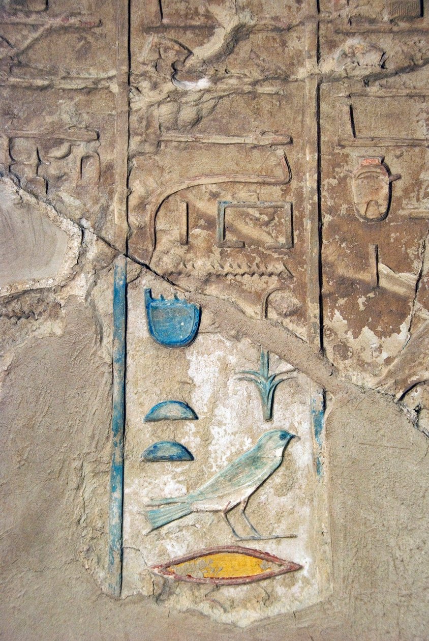 Egyptský starověk: barevné hyeroglify. Hrobka Kherouef (TT192) (18. dynastie) od Egyptian 18th Dynasty