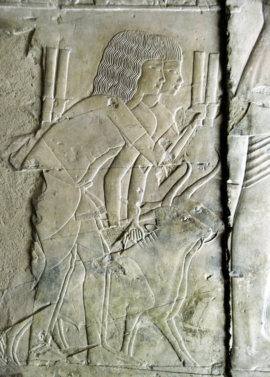 Egyptský starověk: spojuje od hrobky Kha em Het (Khaemhat) inspektora podkroví a písaře k soudu Amenophis III (TT57) představující muže nabízející řepné hlavy jako oběť. 18. dynastie. 1530-1290 před naším letopočtem. Vallee des Nobles. Luxor, Západní břeh  od Egyptian 18th Dynasty