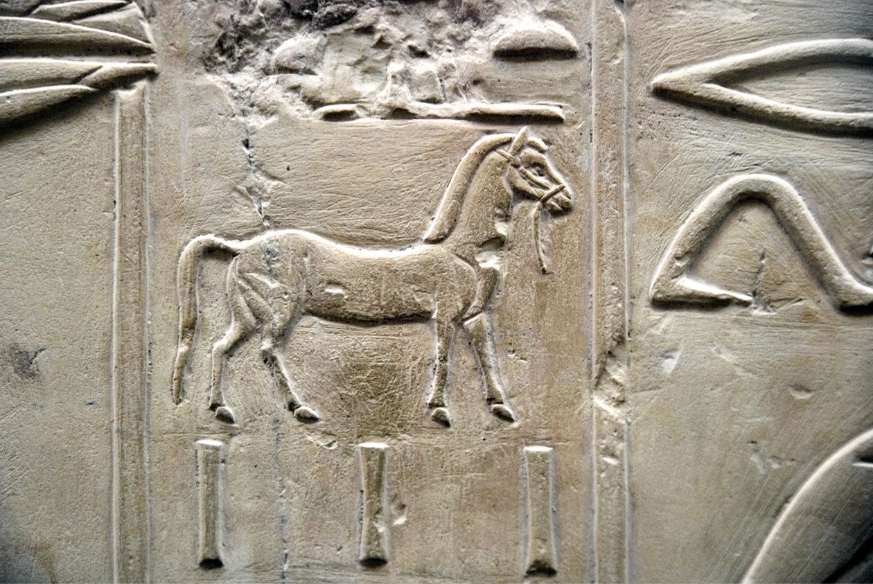 Egyptský starověk: zobrazení koně. Nízký reliéf Hrobky Vizira Ramose (18. dynastie). Luxor, Théby, Údolí šlechticů Egypt od Egyptian 18th Dynasty