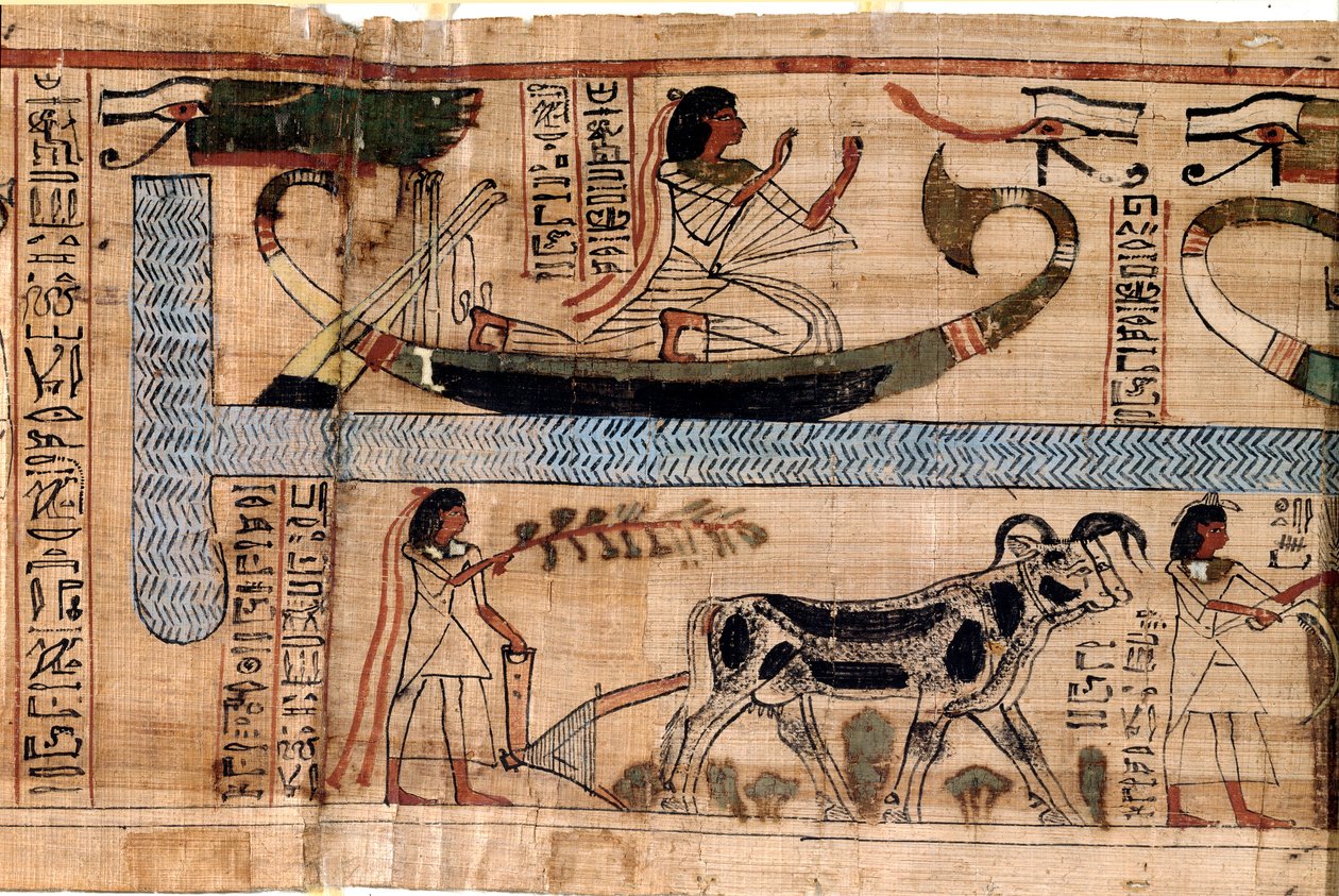 Egyptský starověk: jméno zesnulého Anera představuje na lodi Osiris, scénu orání a vážení duší (psychostáza). Papyrus z Knihy mrtvých, 20. dynastie, z Théb. Turín, egyptské muzeum - Starověký Egypt: jméno zesnulých od Egyptian 18th Dynasty