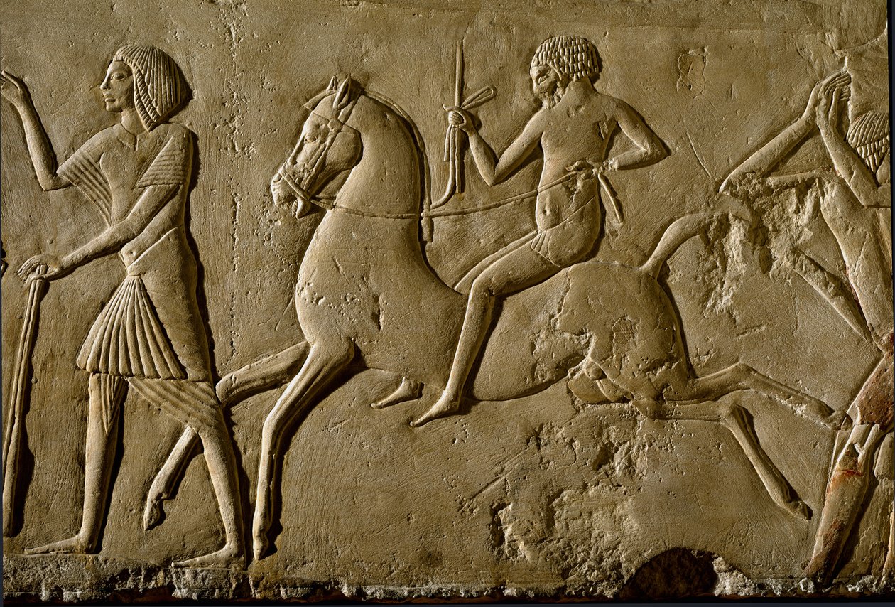 Egyptský starověk: „“bojovník na koni““ Reliéf z hrobu vysokého hodnostáře. 1354-1346 před naším letopočtem. 18. dynastie. Bologna, Civico Museo Archeologico od Egyptian 18th Dynasty