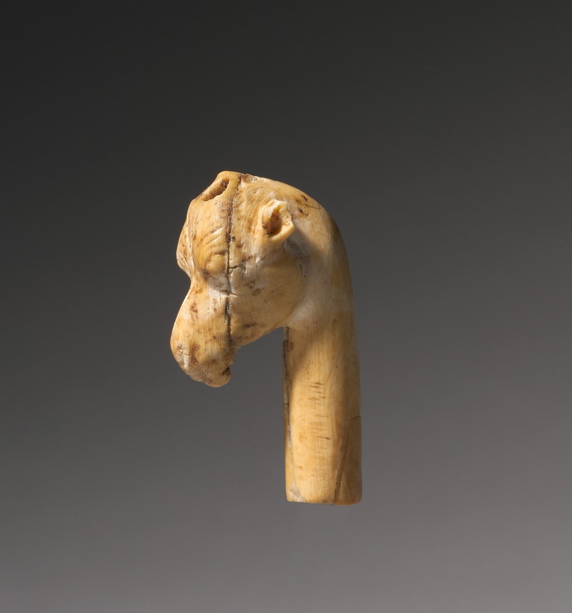 Žirafí hlava, kolem 1540-1296 před naším letopočtem od Egyptian 18th Dynasty