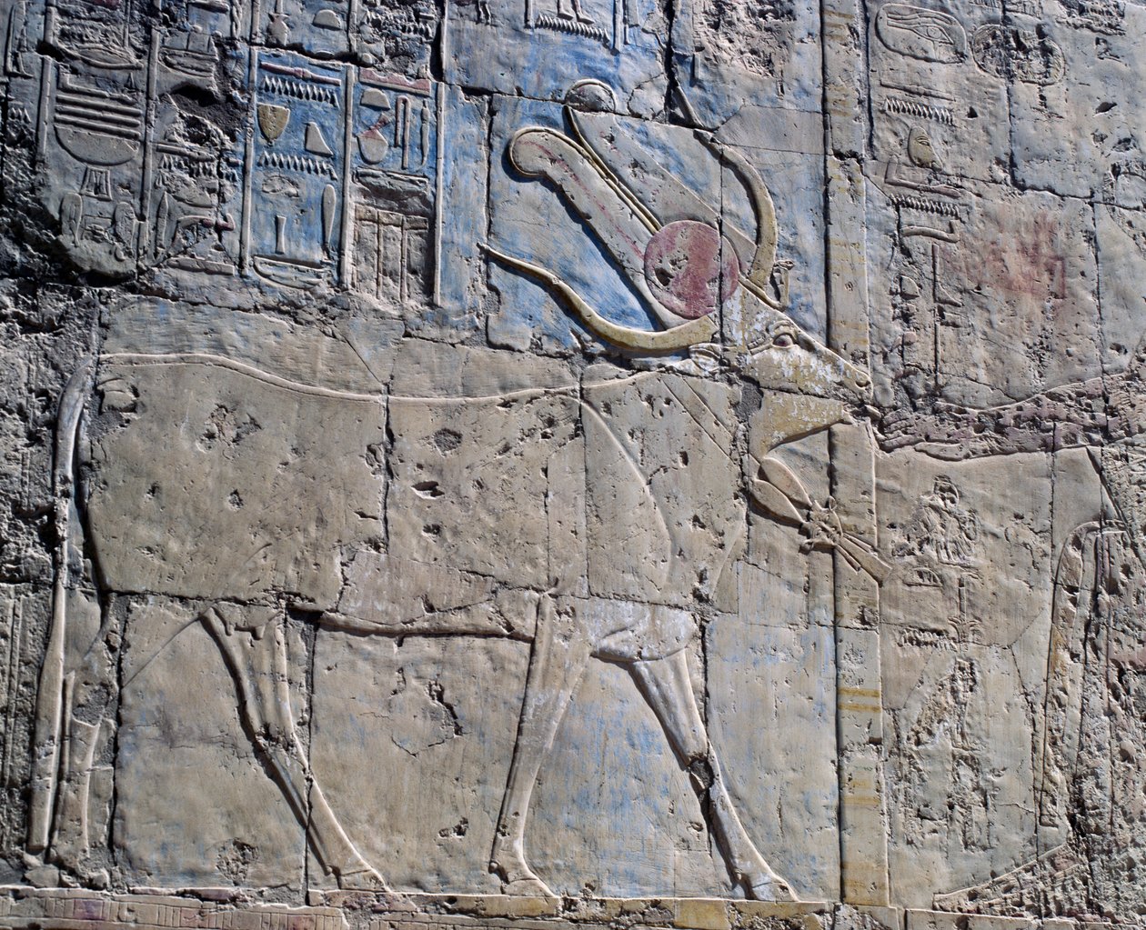 Bohyně Hathor v podobě posvátné krávy, malovaný reliéf, Hathořina kaple, pohřební chrám královny Hatšepsut, známý také jako Djeser-Djeseru, Deir el-Bahri, Théby (Seznam světového dědictví UNESCO) od Egyptian 18th Dynasty
