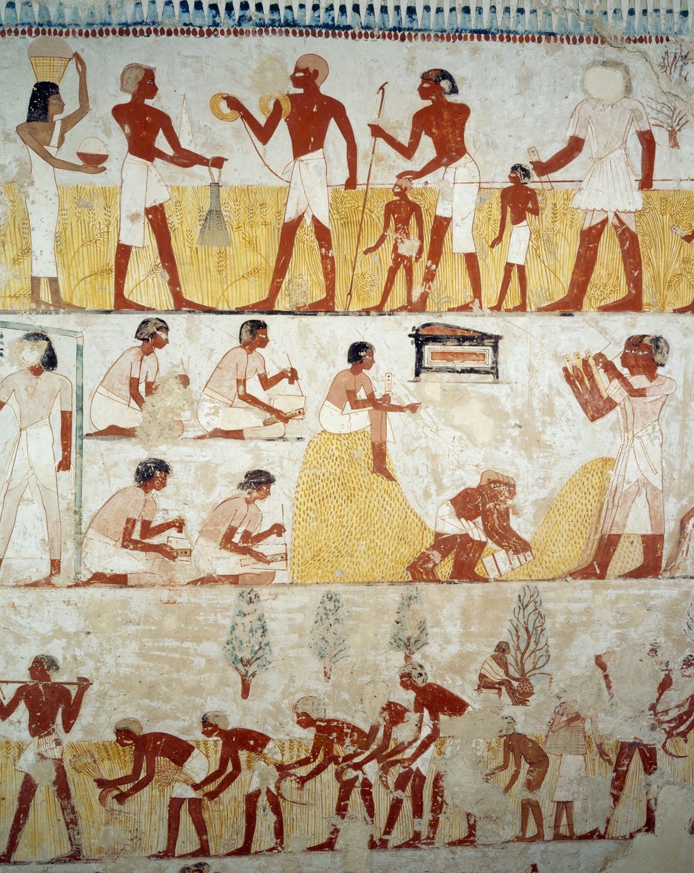 Sklizeň úrody, mlácení a dobývání obilí, detaily z fresek ve vestibulu hrobky Menna, nekropole Sheikh Abd el Qurnah, Luxor, Théby (Seznam světového dědictví UNESCO od Egyptian 18th Dynasty