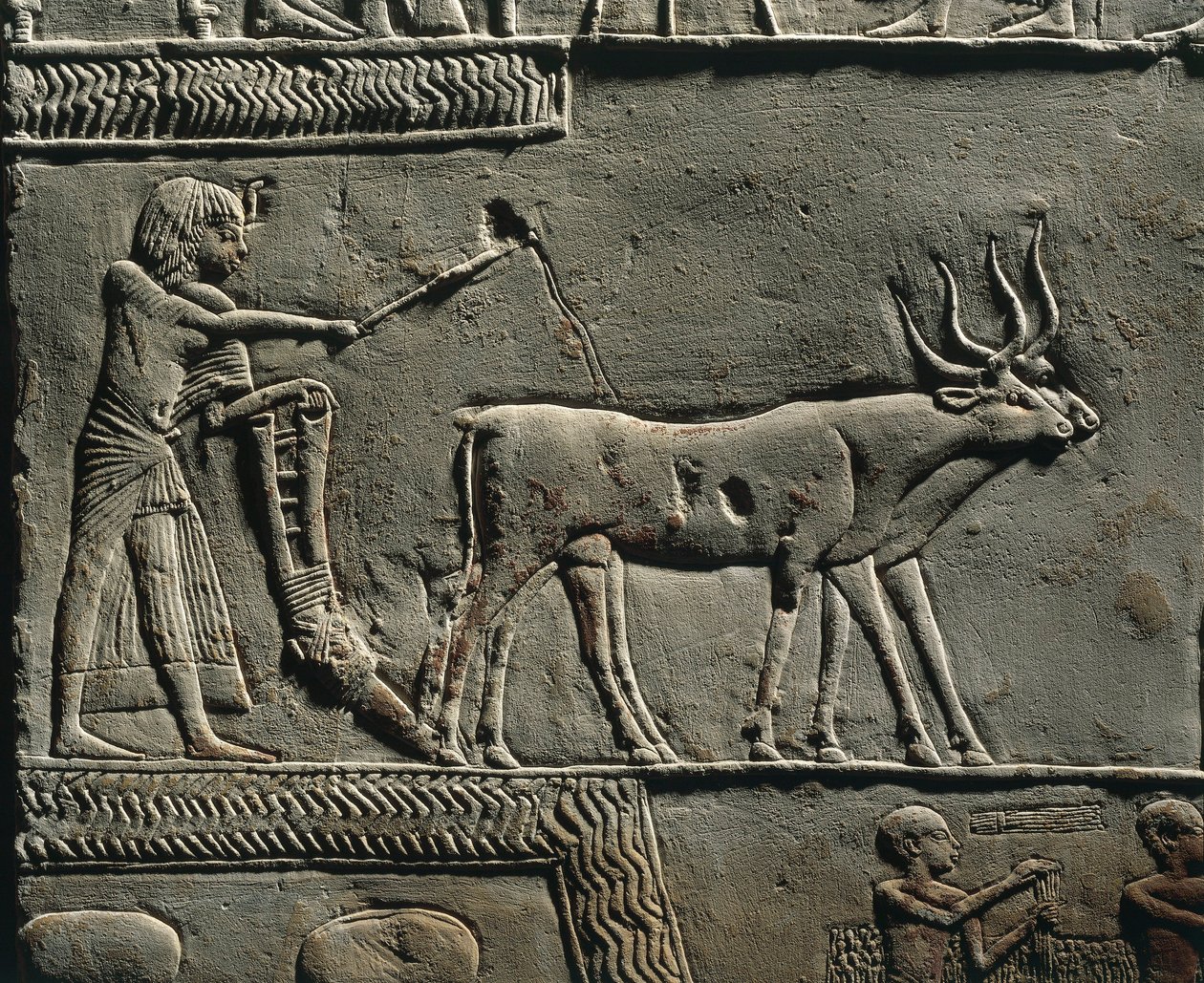 Horemheb orá půdu na polích Iaru. Reliéf z Horemhebovy hrobky v Sakkáře, detail. od Egyptian 18th Dynasty