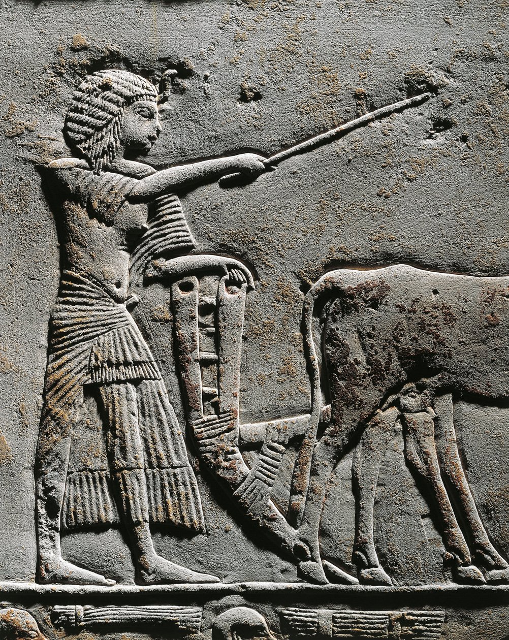 Horemheb orá půdu na polích Iaru, reliéf z Horemhebovy hrobky v Sakkáře, detail od Egyptian 18th Dynasty