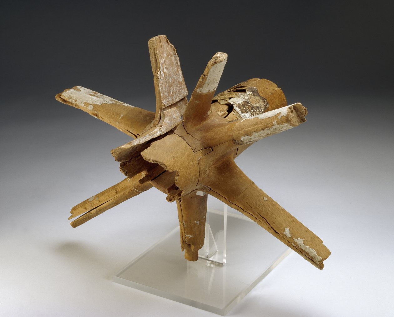 Náboj a paprsky vozového kola (jilmové a tamarixové dřevo s omítkou a vazbou ze surové kůže) od Egyptian 18th Dynasty
