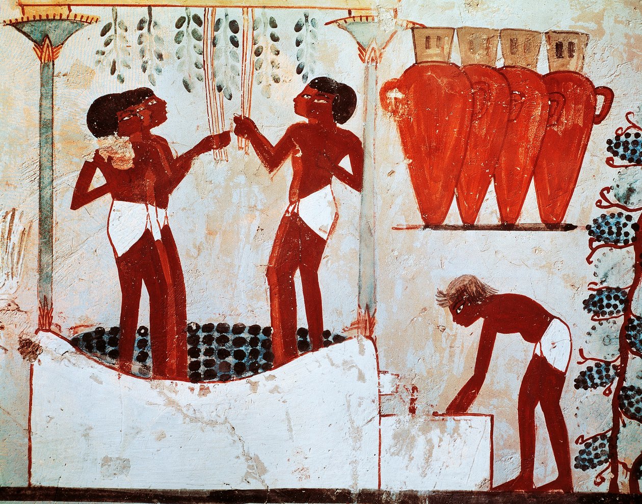 Ilustrace každodenního života na venkově: škubání drůbeže a sklizeň hroznů, pocházející z hrobky Nakht v Thébách od Egyptian 18th Dynasty