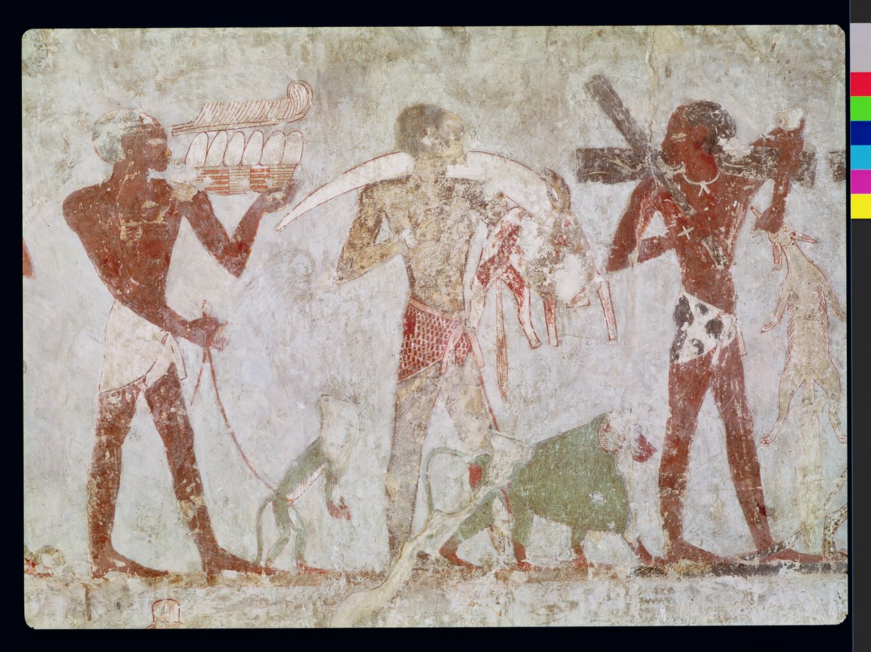 Kushites nesoucí hold zlata, slonoviny a zvířecích kůží, z hrobky Rekhmire, vezíra Tuthmosis III a Amenhotep II, Nová říše (nástěnná malba) od Egyptian 18th Dynasty