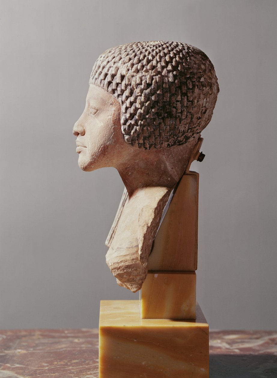 Levý profil hlavy princezny z rodu Achnatona, Nová říše (malovaný vápenec) (viz také 107940, 116813, 370211) od Egyptian 18th Dynasty