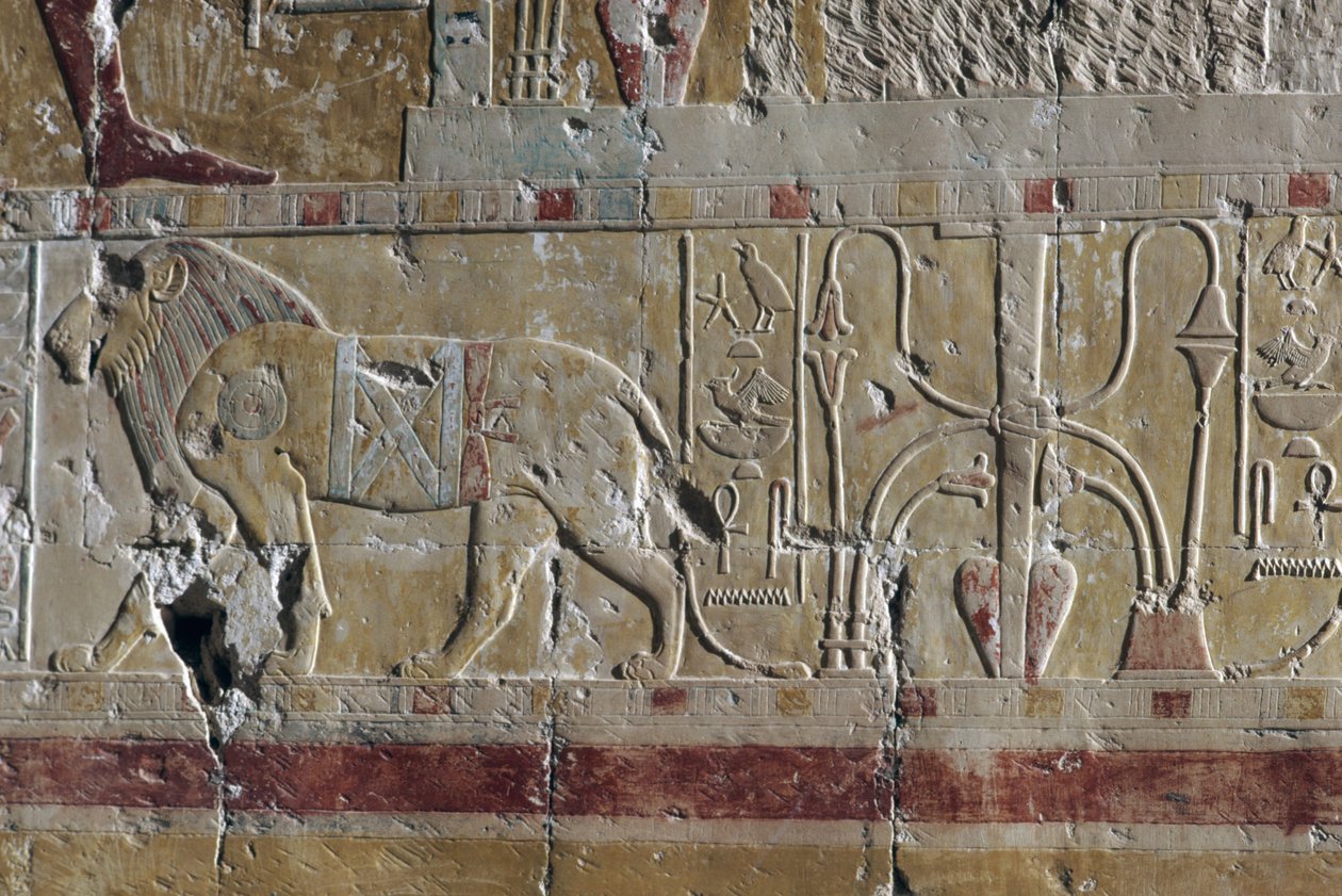 Lev, reliéf, márnice Hatšepsutin chrám, Deir el-Bahari, thébská nekropole (Seznam světového dědictví UNESCO) od Egyptian 18th Dynasty