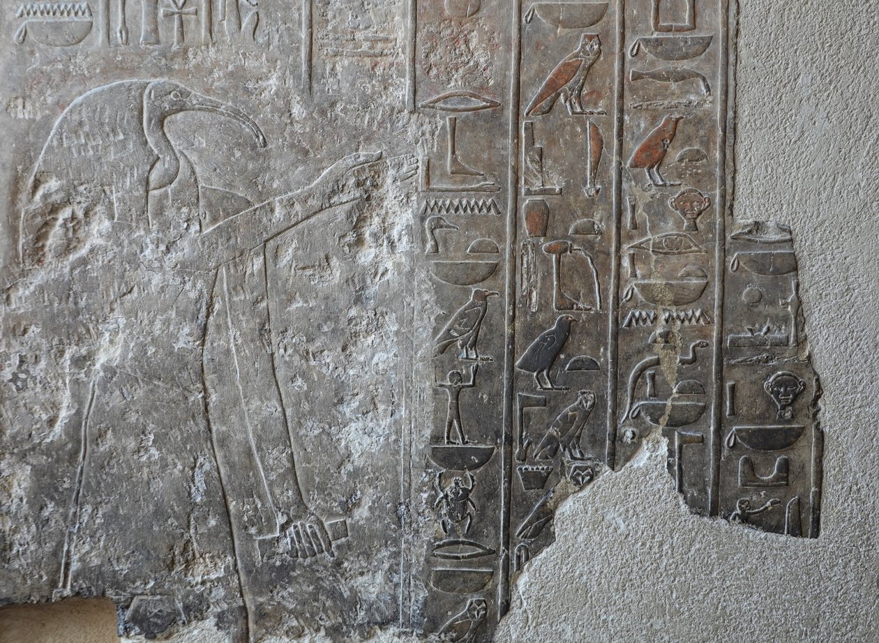 Nízký reliéf. Pohřební chrám Hatšepsut, Deir el Bahari od Egyptian 18th Dynasty
