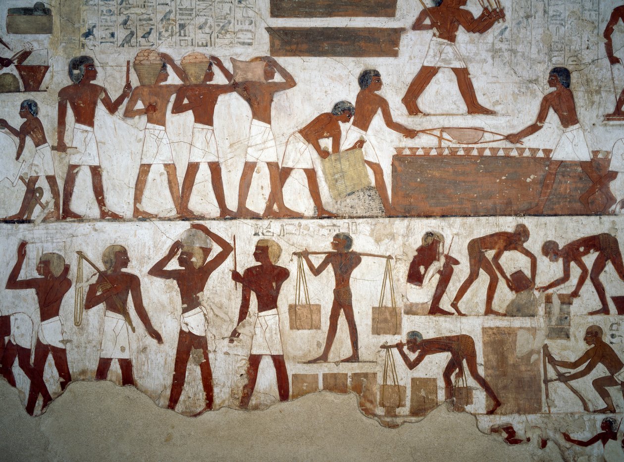 Muži v práci, detail z fresek v hrobce Rekhmire, nekropole Sheikh Abd el Qurnah, Luxor, Théby (Seznam světového dědictví UNESCO od Egyptian 18th Dynasty