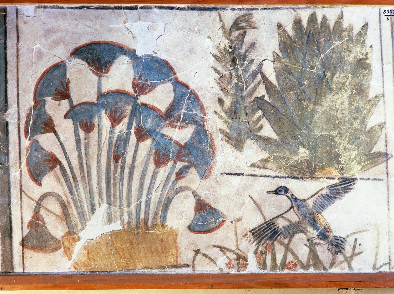 Malba znázorňující kachnu mezi rostlinami z Achnatonova paláce, El-Awara, Egypt od Egyptian 18th Dynasty