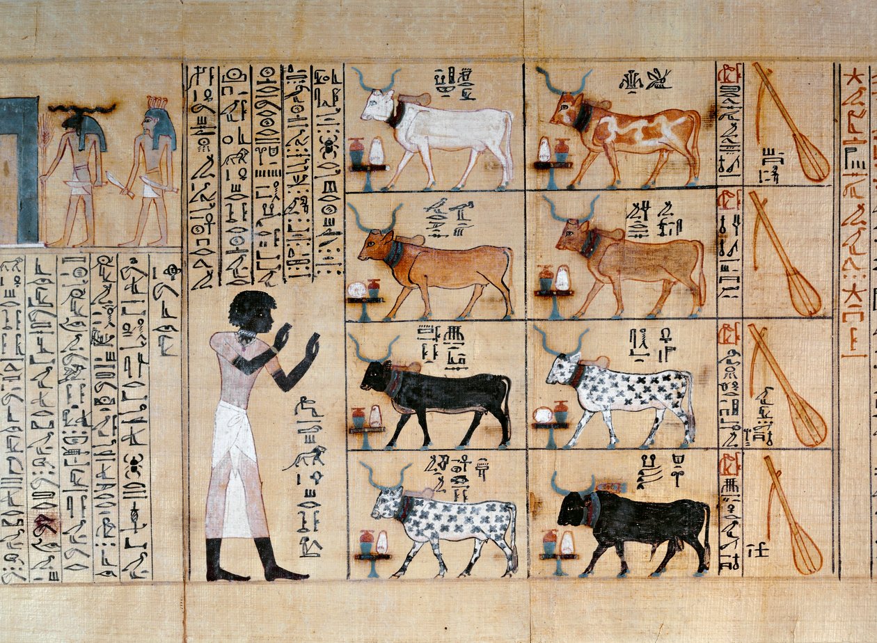 Papyrus s vyobrazením volů z Maiherperovy Knihy mrtvých od Egyptian 18th Dynasty