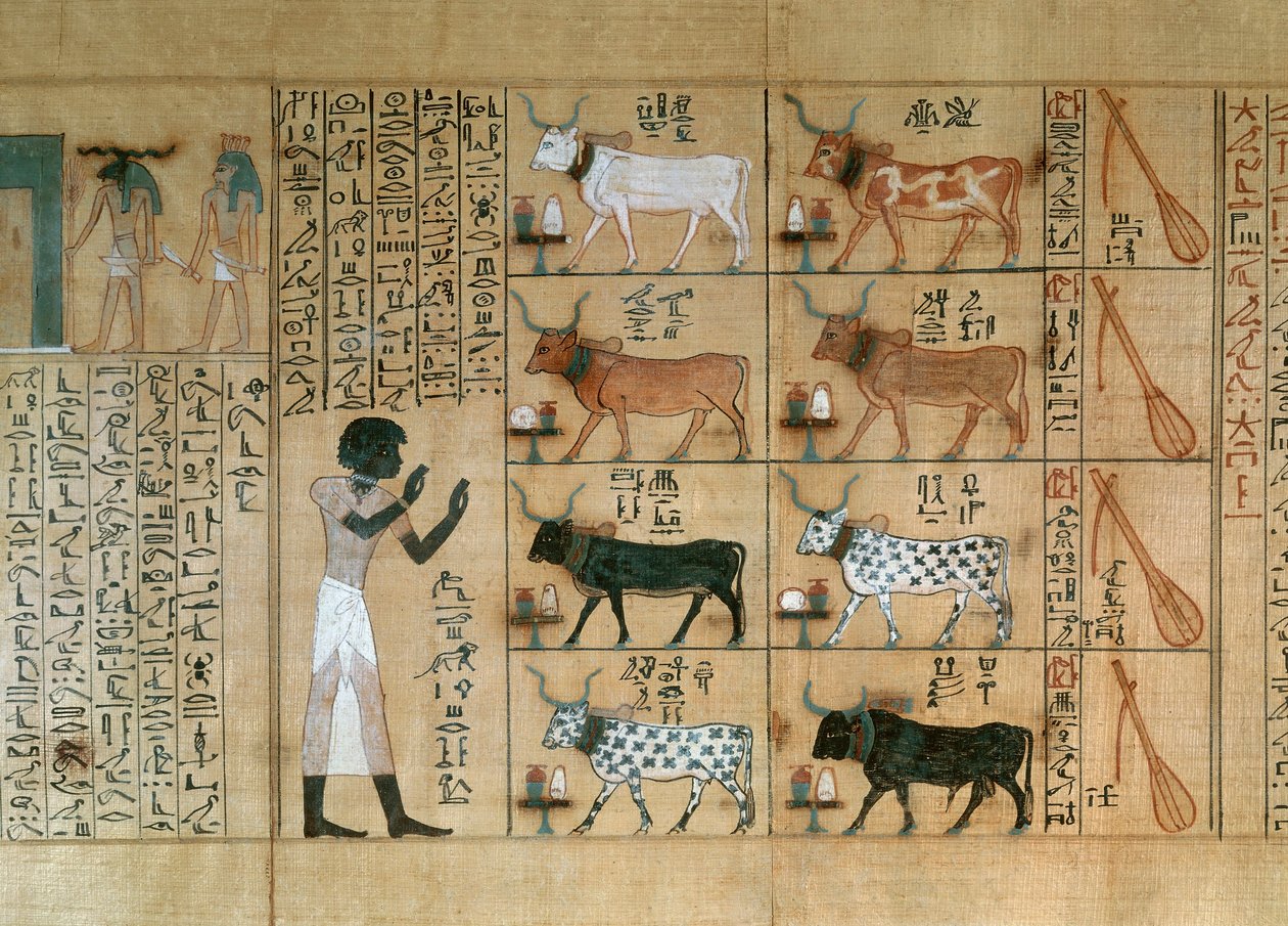 Papyrus s vyobrazením volů z Maiherperovy Knihy mrtvých od Egyptian 18th Dynasty