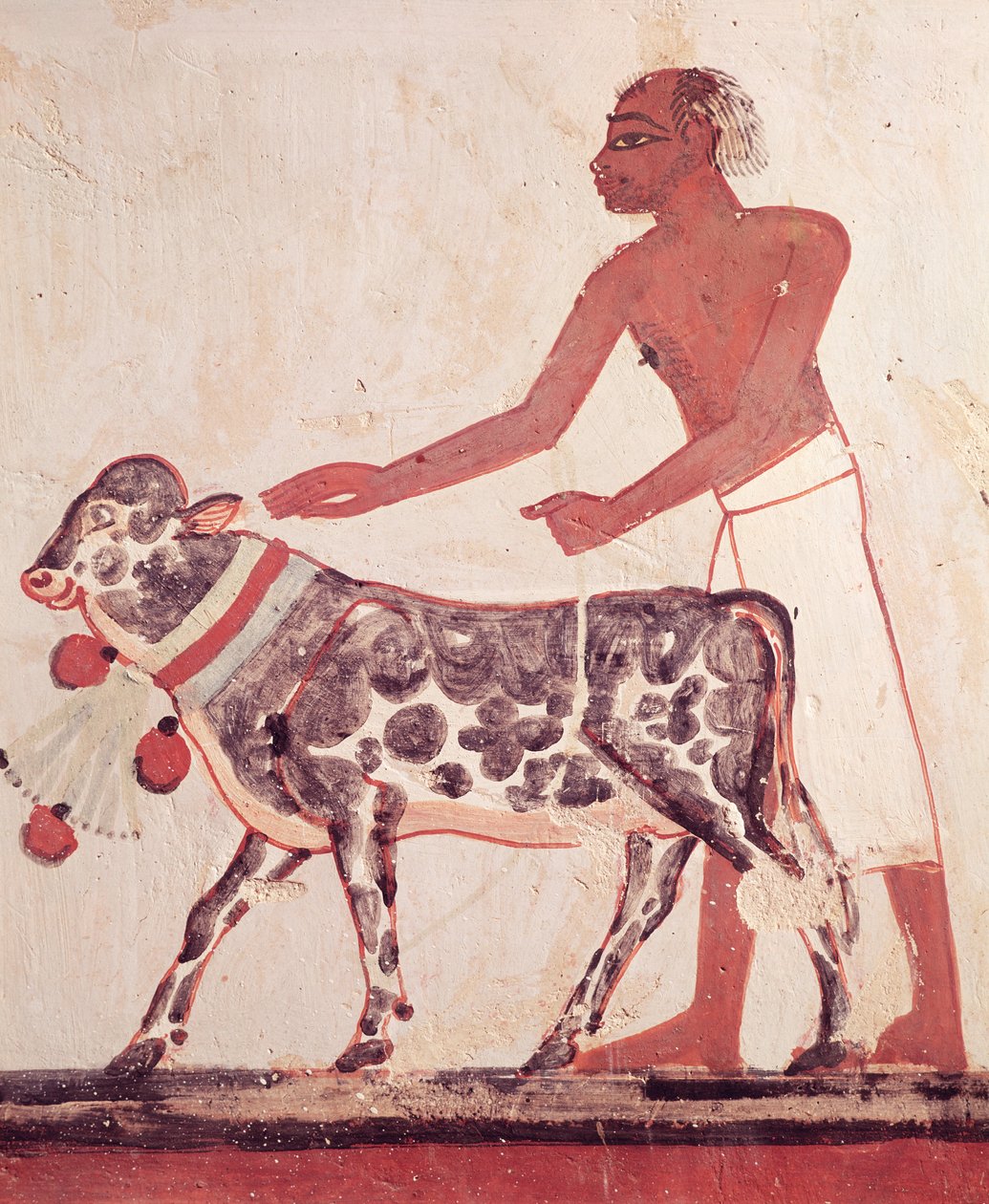 Rolník vedoucí krávu k obětování, z hrobky Menny (nástěnná malba) od Egyptian 18th Dynasty