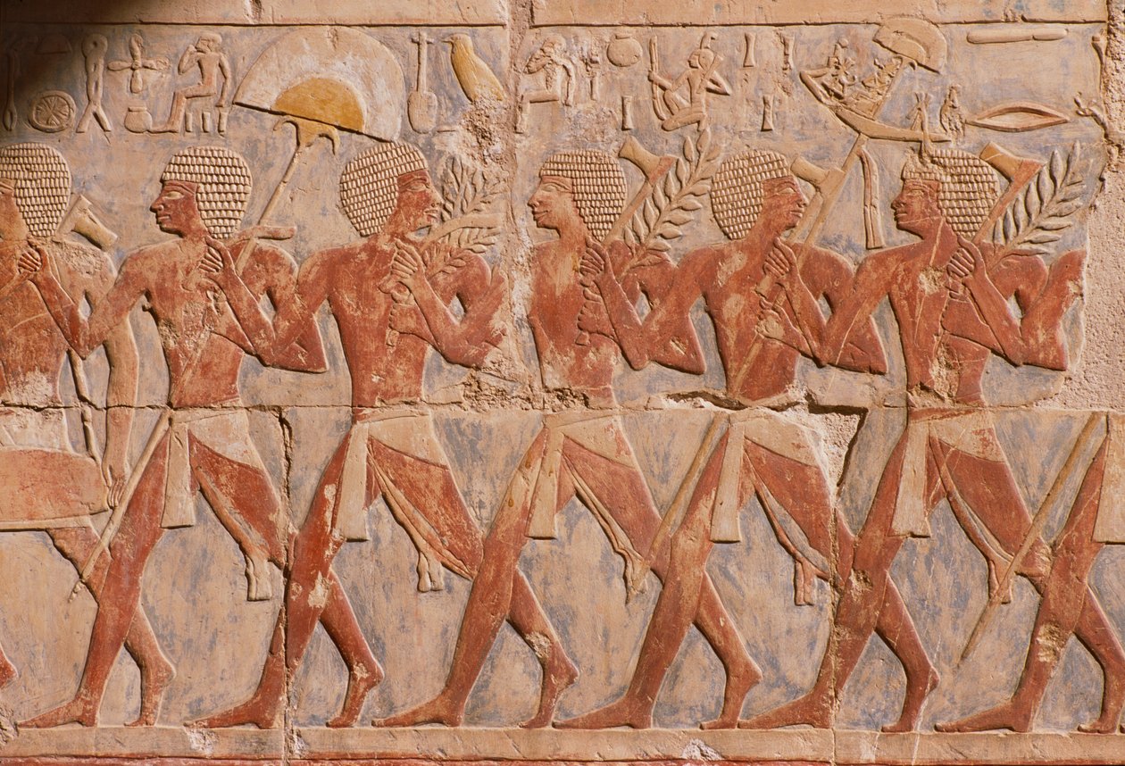 Reliéf zobrazující průvod na počest bohyně Hathor z Hatšepsutina pohřebního chrámu (asi 1503-1482 př. n. l.) Nová říše (malovaný vápenec) (viz také 226168) od Egyptian 18th Dynasty