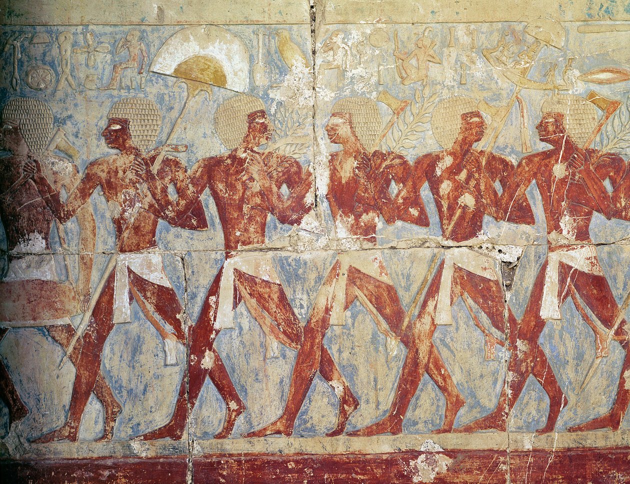 Reliéf zobrazující průvod na počest bohyně Hathor ze zádušního chrámu Hatšepsut (asi 1503–1482 př. n. l.) Nová říše (malovaný vápenec) (viz také 382845) od Egyptian 18th Dynasty