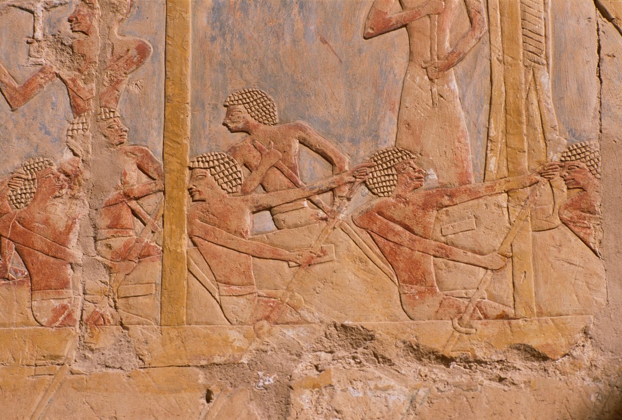 Reliéf zobrazující muže veslující na lodi, stěna zdobená na počest bohyně Hathor, detail, ze zádušního chrámu Hatšepsut (asi 1503-1482 př. n. l.) Nová říše (malovaný vápenec) od Egyptian 18th Dynasty