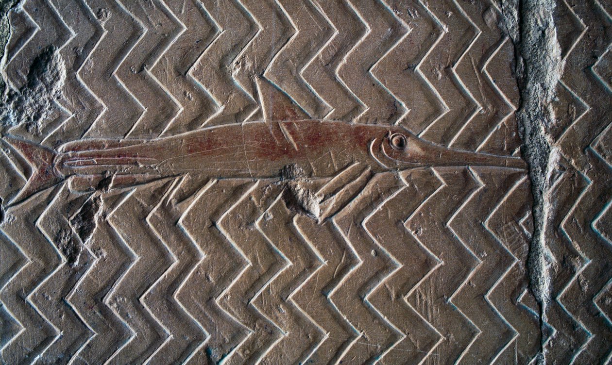 Vyobrazení ryby, výjevy z království Punt, jižní stěna centrální kolonády, Hatšepsutin chrám, Deir el-Bahari, Luxor, Théby (Seznam světového dědictví UNESCO) od Egyptian 18th Dynasty