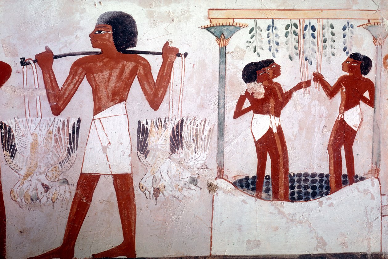 Neznámý obrázek od Egyptian 18th Dynasty