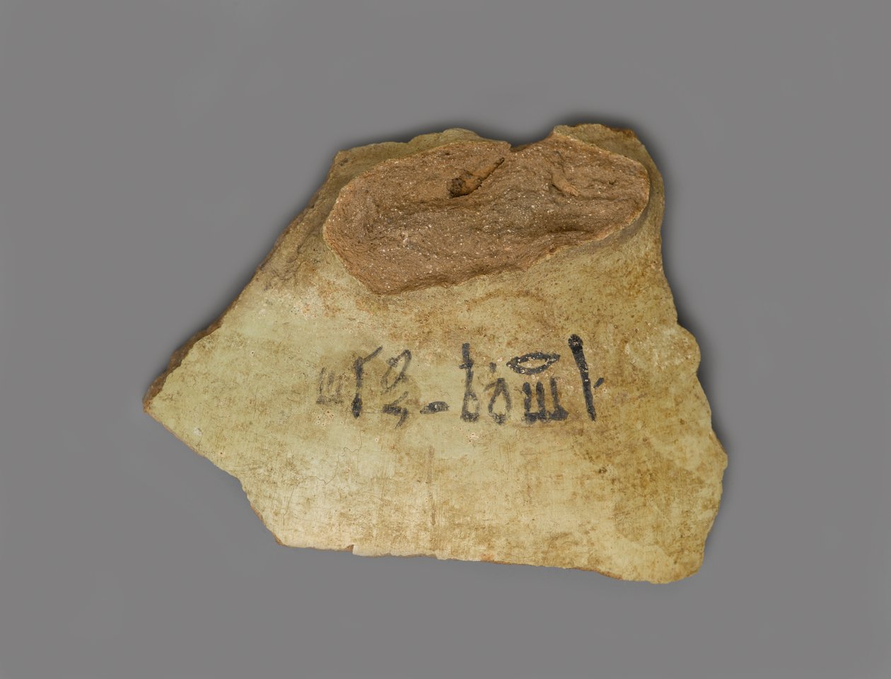 Etiketa vína, nalezená v paláci Amenhotepa III, Théby, Nová říše (terakota s pigmentem) od Egyptian 18th Dynasty