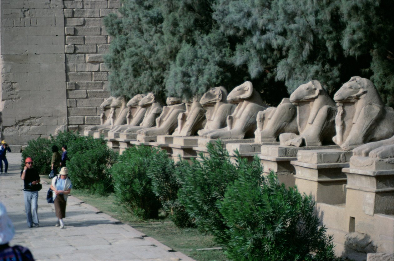 Alej sfing s beraními hlavami lemující Procesní cestu do Velkého Amonova chrámu, Nová říše od Egyptian 19th Dynasty