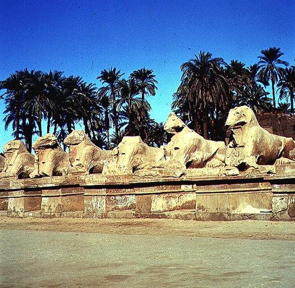 Alej sfing s beraními hlavami lemující Procesní cestu do Velkého Amonova chrámu, Nová říše od Egyptian 19th Dynasty
