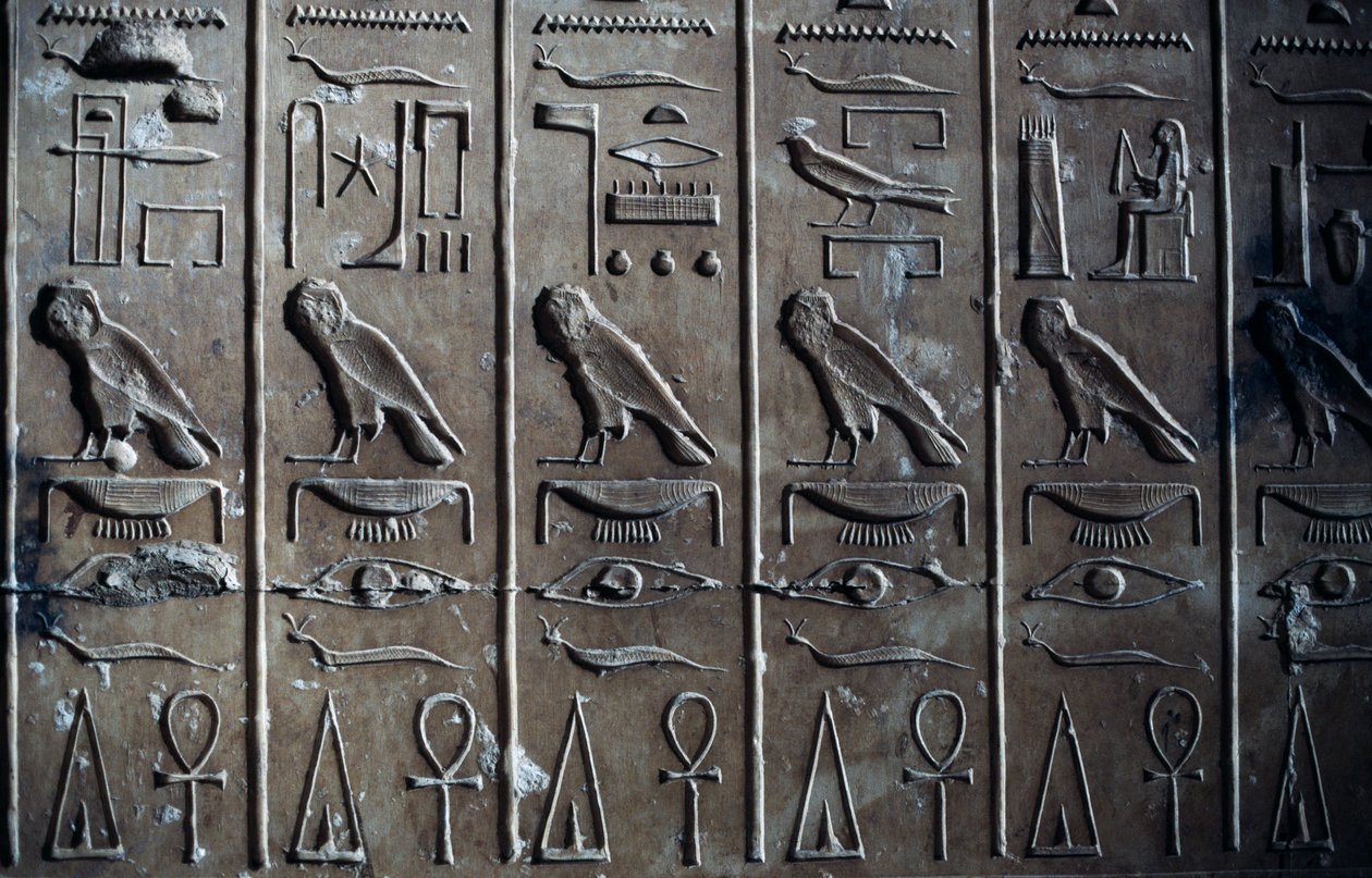 Basreliéf s hieroglyfickými reliéfy zobrazujícími boha Hora v podobě jestřába a kotníku, symbolu života, Chrám Setiho I. nebo Velký chrám v Abydosu, Abydos, Egypt, Egyptská civilizace, Nová říše, Dynastie XIX. od Egyptian 19th Dynasty