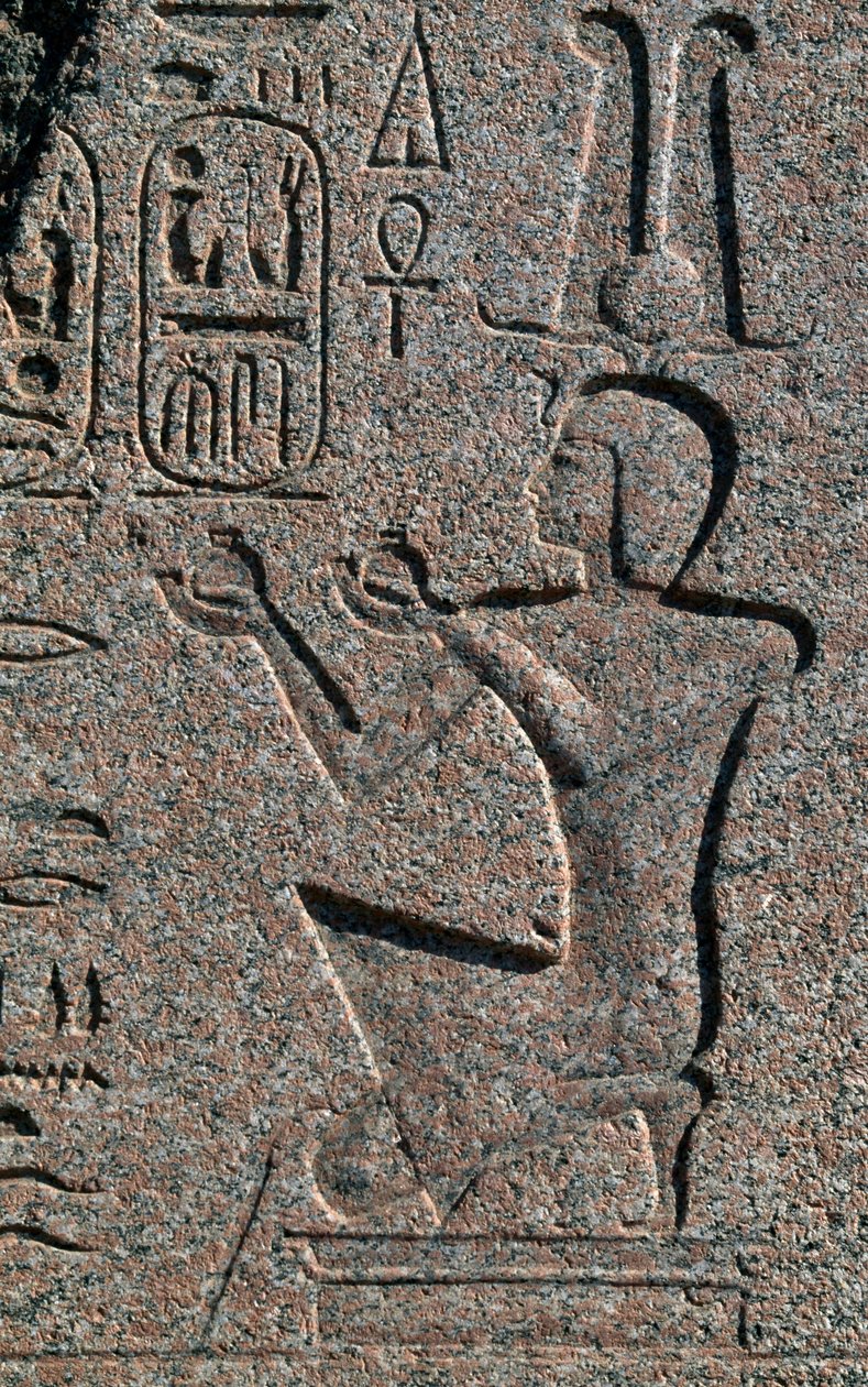 Blok s reliéfy a nápisy Ramesse II, Velký Amonův chrám, Tanis, Egypt, Egyptská civilizace, Nová říše, Dynastie XIX od Egyptian 19th Dynasty