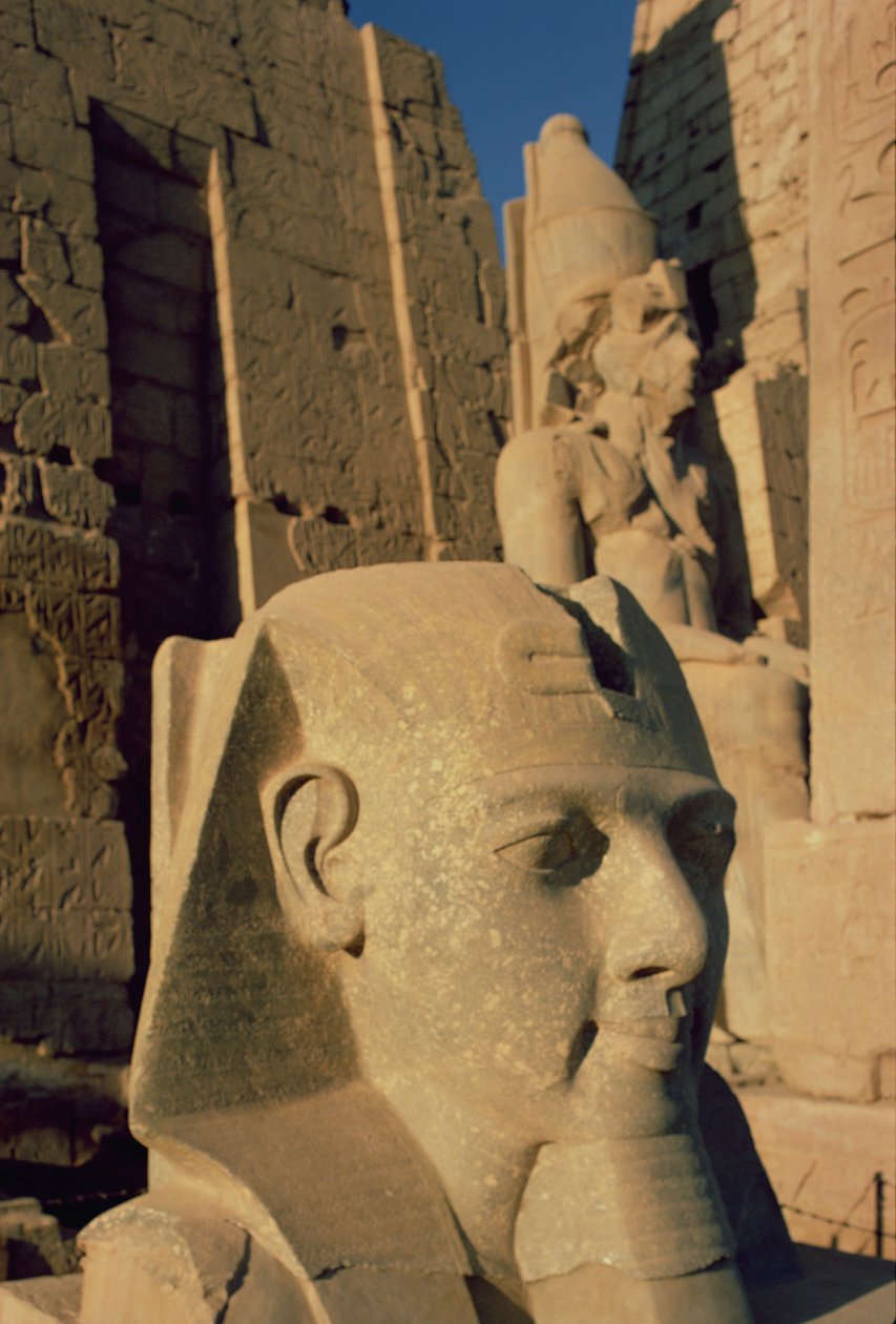 Kolosální hlava Ramesse II (1298-32 př.nl) Nová říše od Egyptian 19th Dynasty