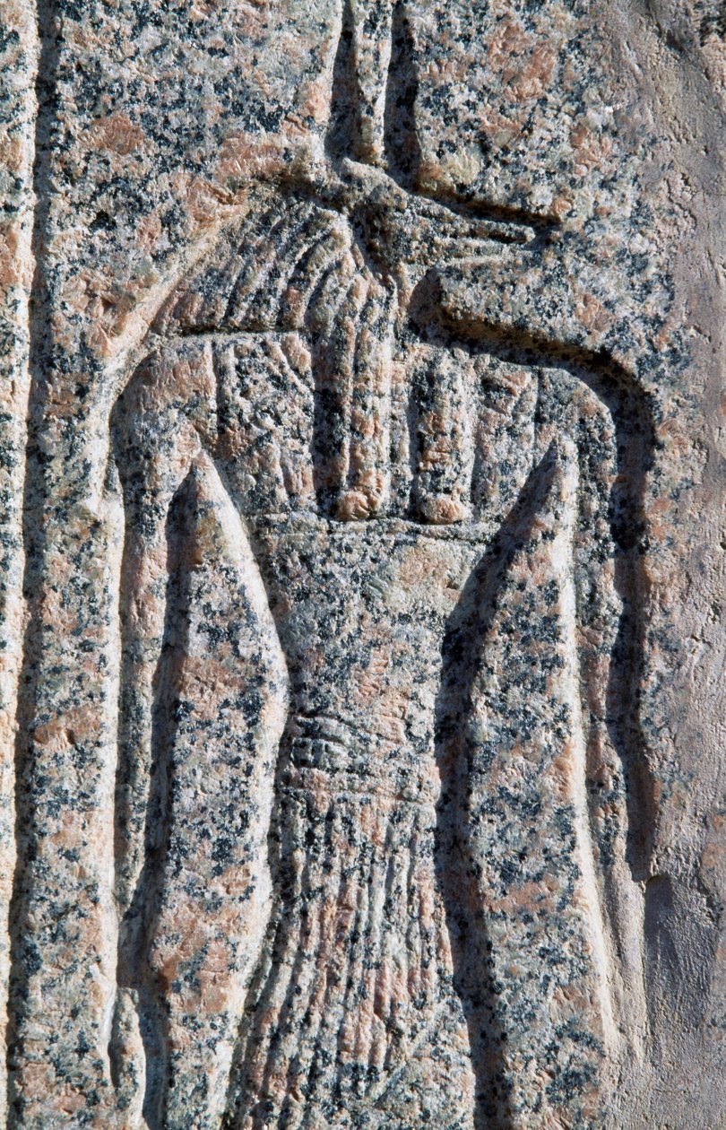 Vyobrazení Anubise, detail nápisu a reliéfu Anubise a jiného boha, Amenhotepův sarkofág, Memfis (Seznam světového dědictví UNESCO) od Egyptian 19th Dynasty