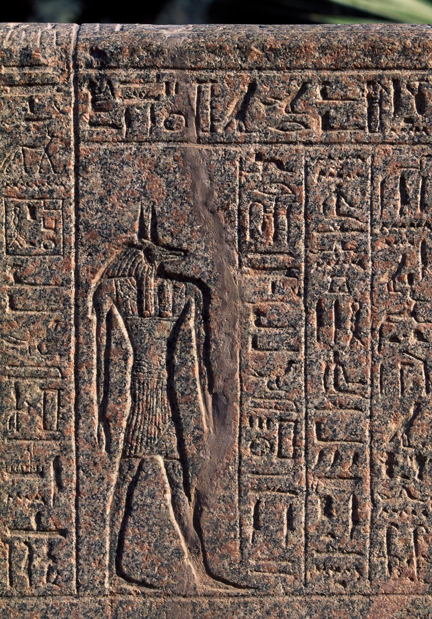 Vyobrazení Anubise, detail nápisu a reliéfu Anubise a jiného boha, Amenhotepův sarkofág, Memfis (Seznam světového dědictví UNESCO) od Egyptian 19th Dynasty