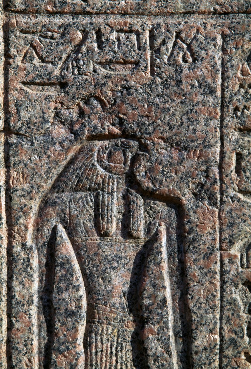 Vyobrazení Hora, nápis a reliéf Hora a Thóta, Amenhotepův sarkofág, Memfida, Egypt, Nová říše, 19. dynastie od Egyptian 19th Dynasty