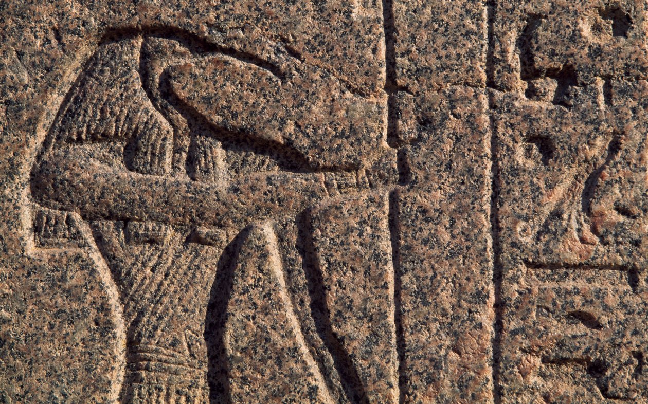 Vyobrazení Thóta, detail nápisu a reliéfu Thóta a Hóra, Amenhotepův sarkofág, Memfis (Seznam světového dědictví UNESCO) od Egyptian 19th Dynasty