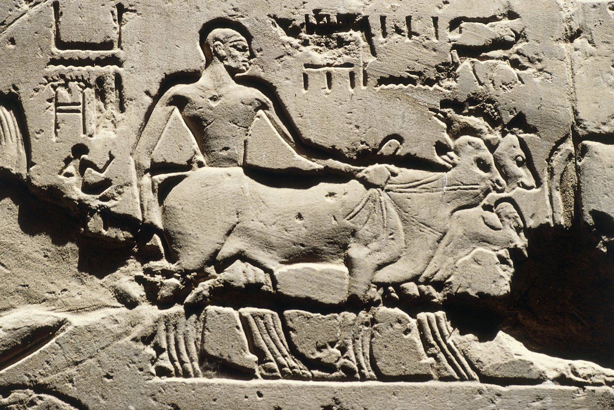 Egypt Starověké vedle, Luxor, Luxorský chrám, nádvoří Ramsese II, reliéf, Nová říše, Dynastie XIX (1290-1224 př. n. l.) od Egyptian 19th Dynasty