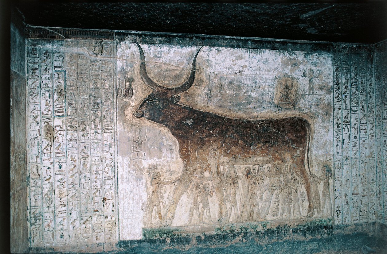 Egypt, Luxor, Údolí králů, hrobka Setiho I., vnitřní fresky zobrazující bohyni Nut jako krávu od Egyptian 19th Dynasty