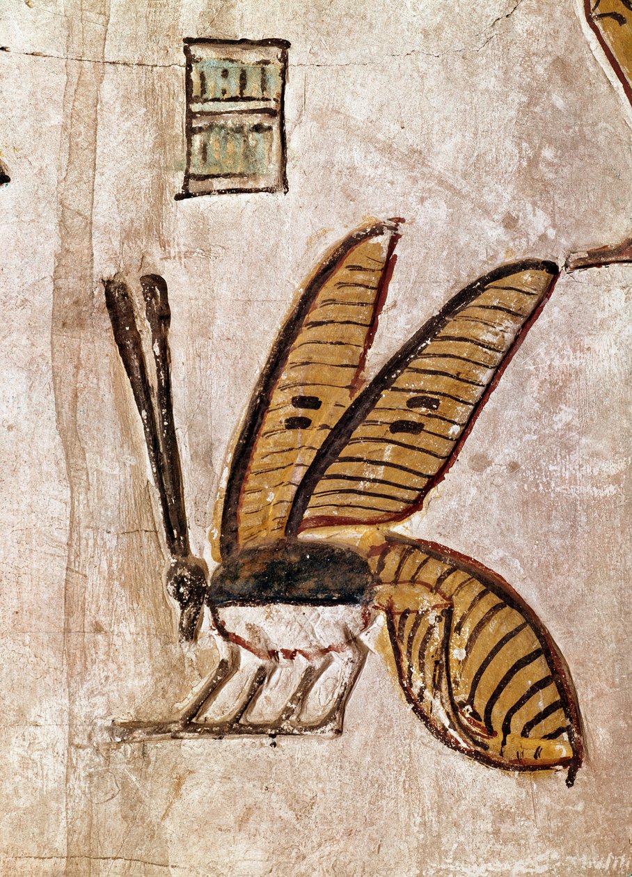 Závěsný od Egyptian 19th Dynasty