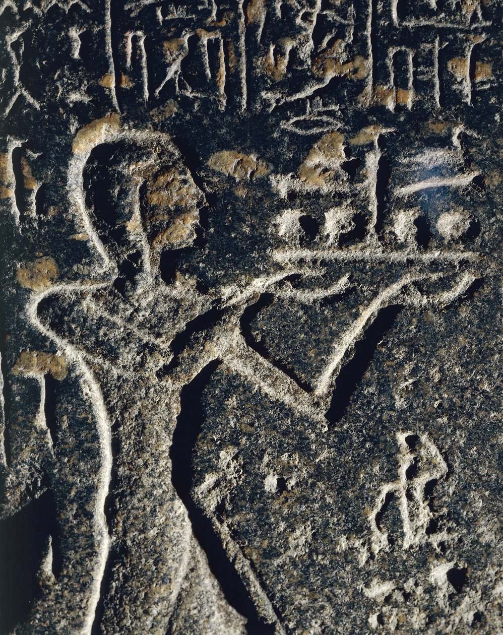 Žulová socha zobrazující prince Merneptaha při uctívání, zasvěcená bohu Ptahovi od Egyptian 19th Dynasty