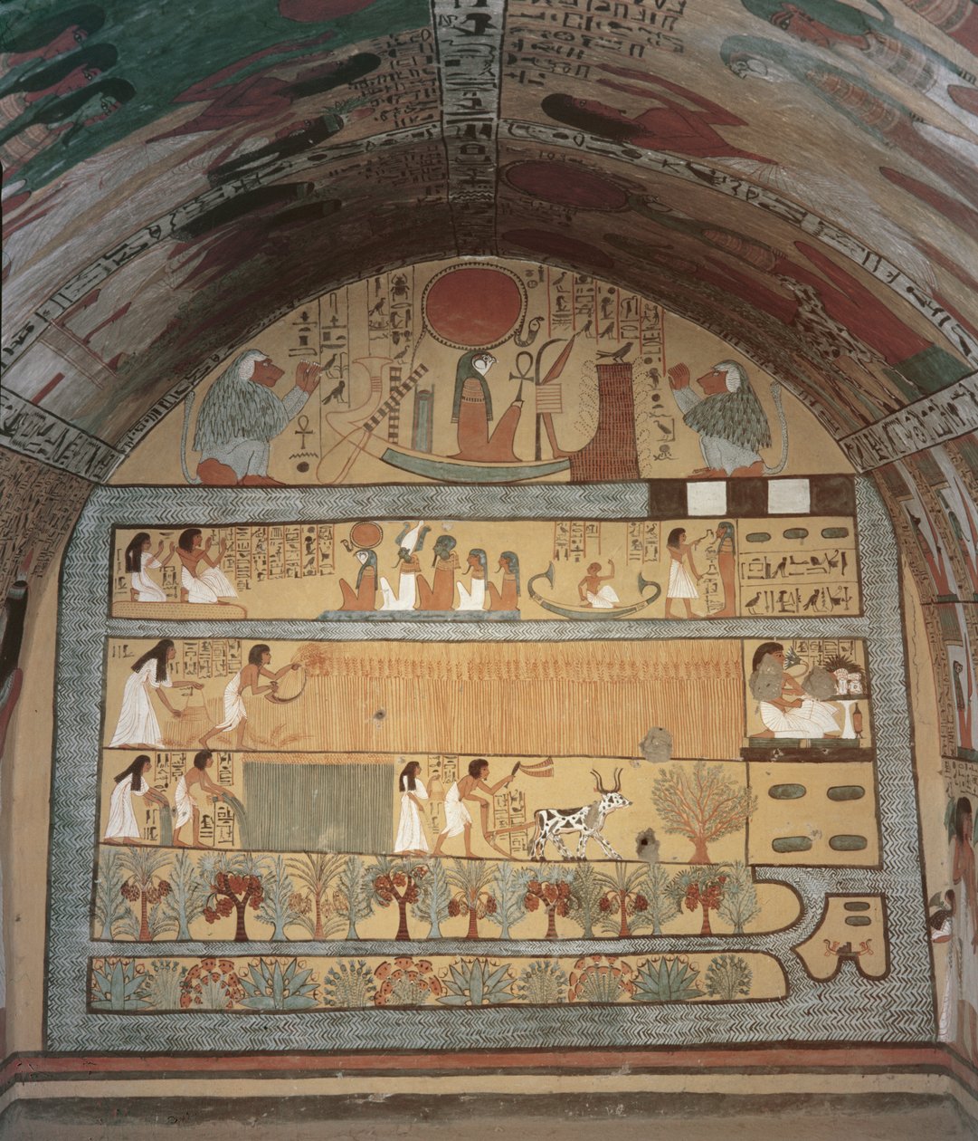 Scéna sklizně na východní zdi, z hrobky Sennedjem, The Workers Village, New Kingdom (nástěnná malba) od Egyptian 19th Dynasty