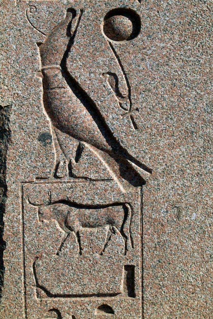 Hieroglyf s Horovým jménem, Velký Amonův chrám, Tanis, Egypt, Nová říše, 19. dynastie od Egyptian 19th Dynasty