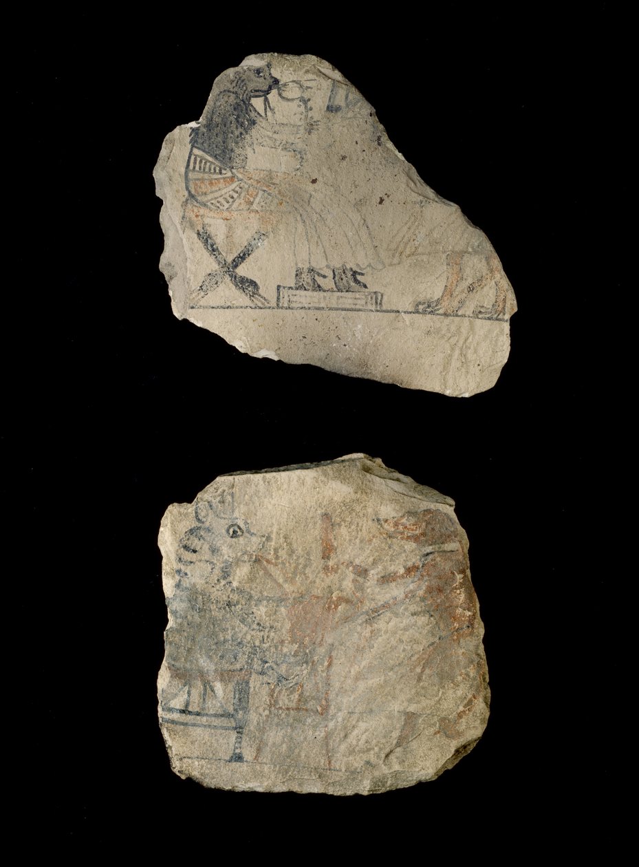 Vápencová ostraka s humornými kresbami červenou a černou tuší (vápenec malovaný černou a červenou tuší) od Egyptian 19th Dynasty